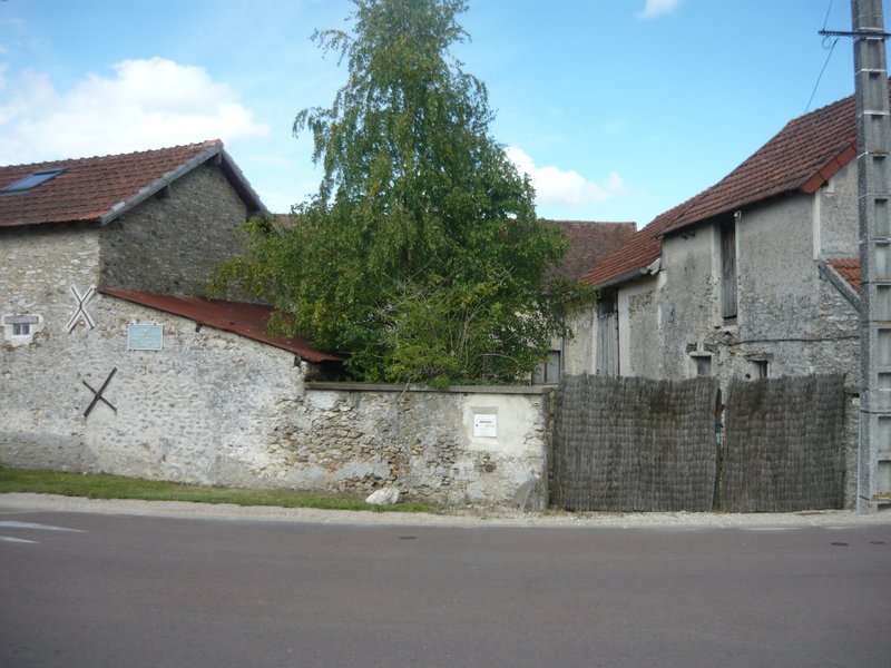 Vue d'ensemble depuis la rue : plusieurs bâtiments du corps de ferme, végétation envahissante. L'ampleur du site et sa dégradation.