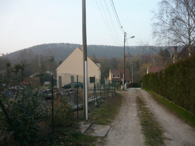 Avant 5
