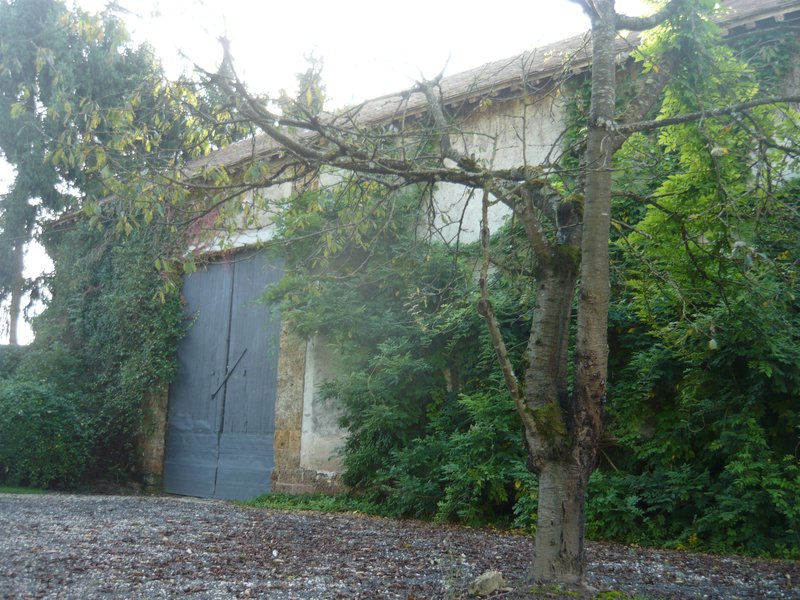 P1130982